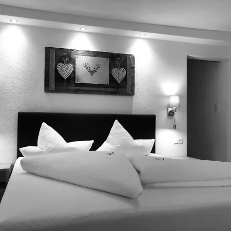 بيت ضيافة Gaestehaus Hackl 3*