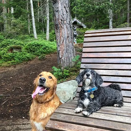 Gaestehaus Hackl 게스트하우스