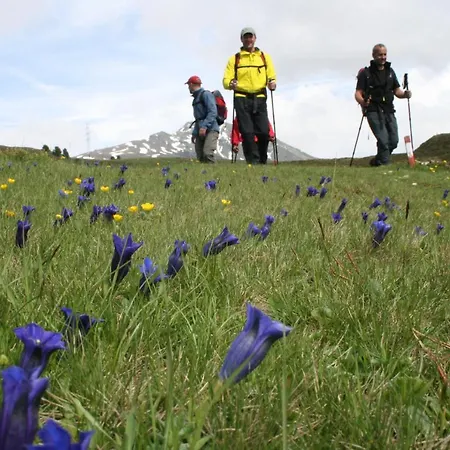 Affittacamere Gaestehaus Hackl