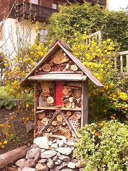 Vendégház Gaestehaus Hackl 3*
