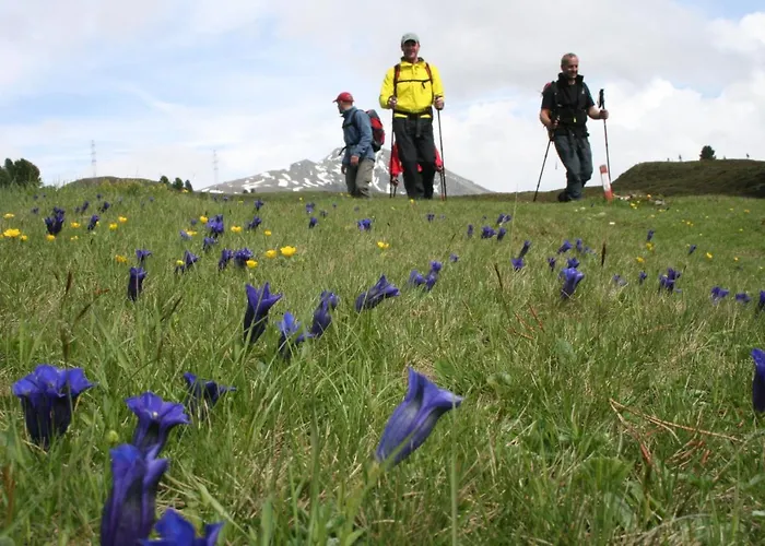 Konukevi Gaestehaus Hackl