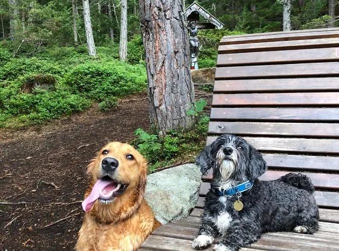 Gaestehaus Hackl Konukevi